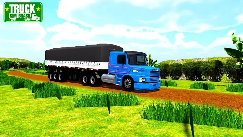 Various routes and landscapes in Truck Sim Brasil.