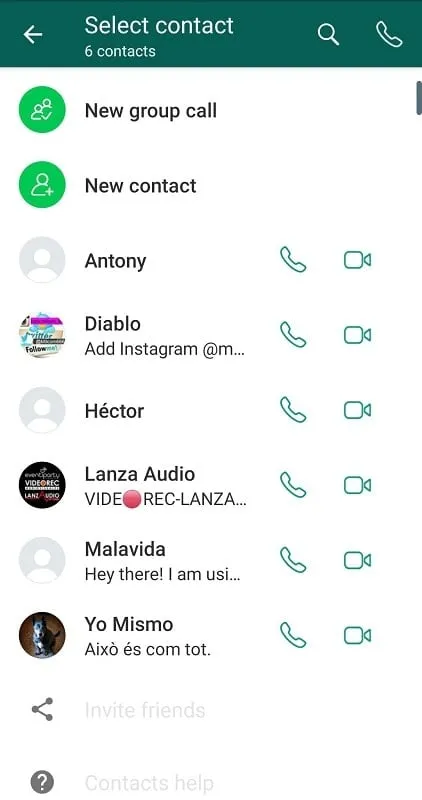 YoWhatsApp chat interface with custom theme